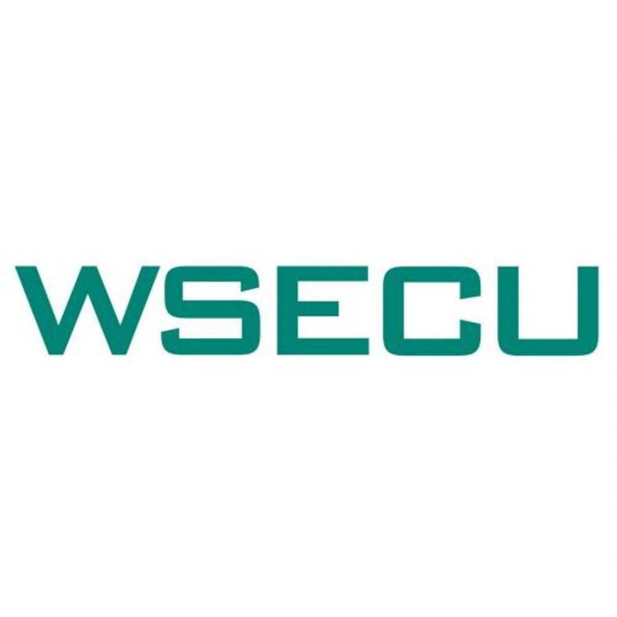 Wsecu business credit card