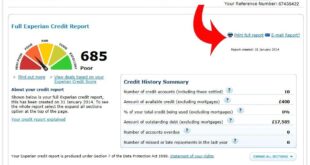 Experian credit report business