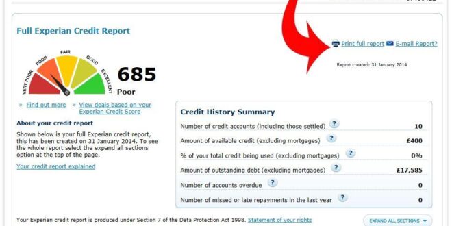 Experian credit report business