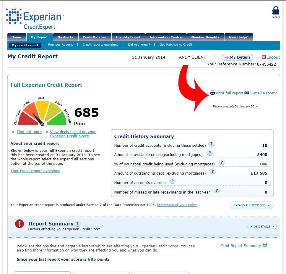 Experian credit report business