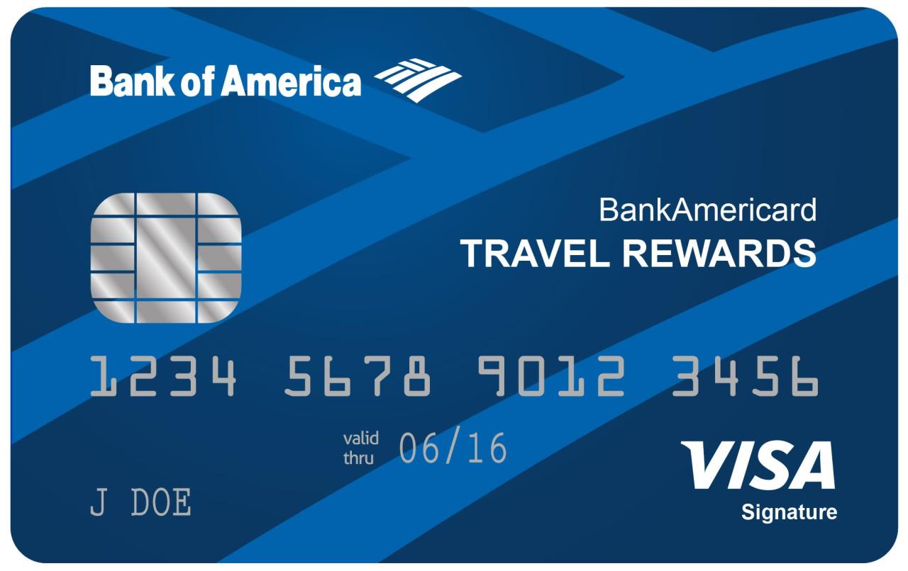 Bank of america business visa credit cards