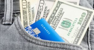 Best cash back small business credit cards