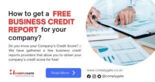 Run business credit report