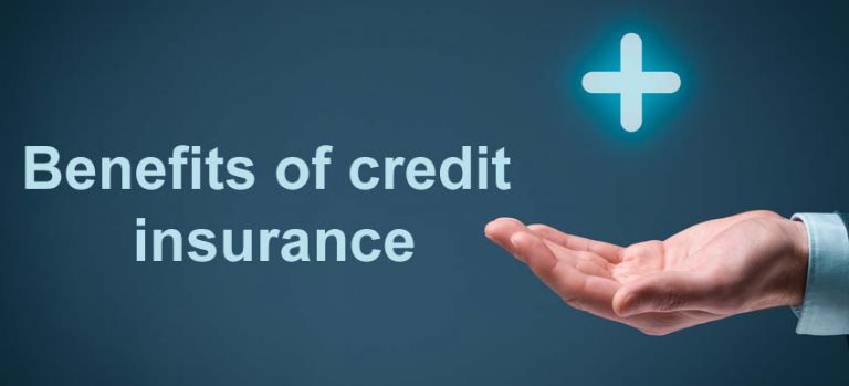 Credit insurance business