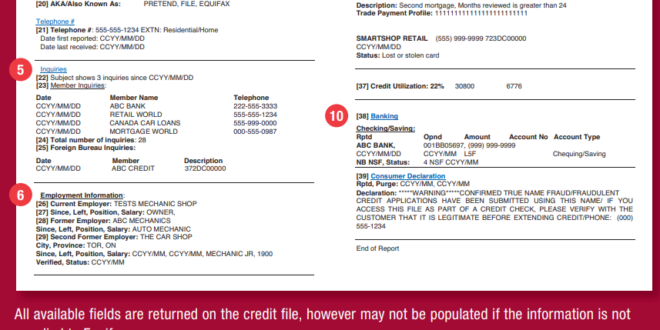 Equifax business credit search