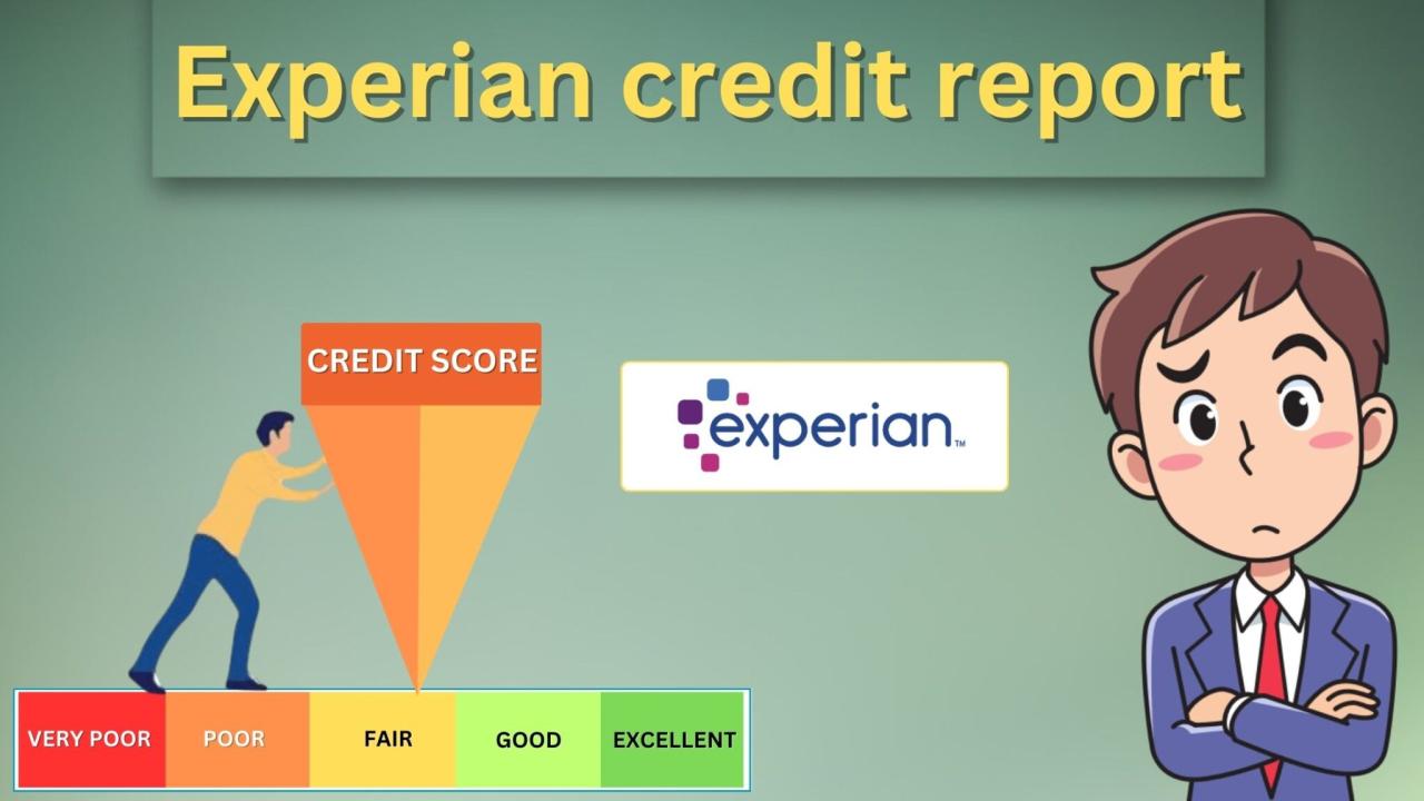 Experian business