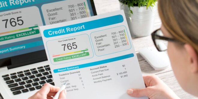 Business credit check software