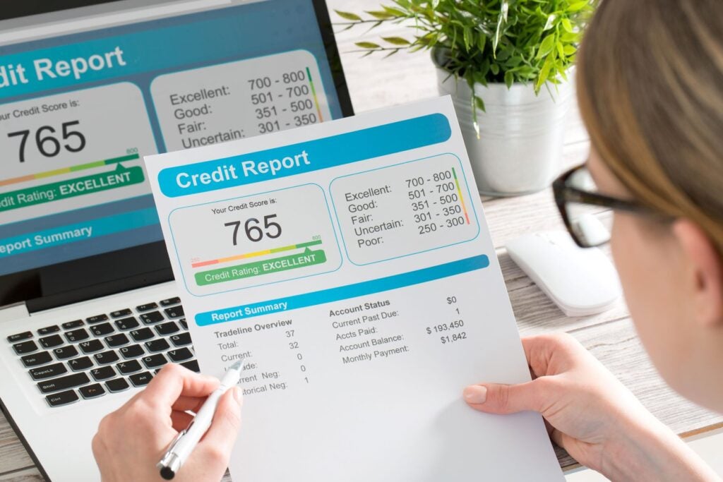 Business credit check software