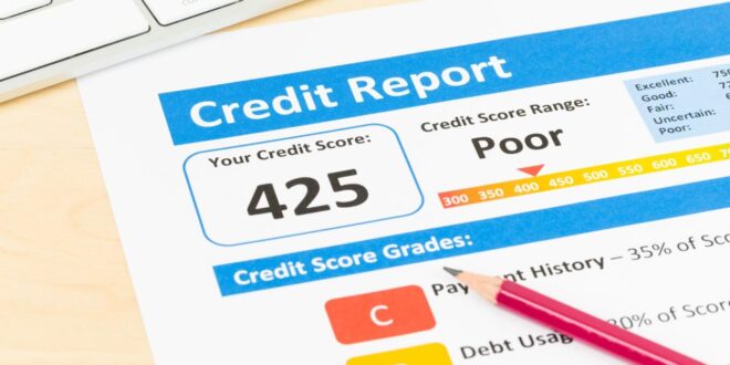 View my business credit report