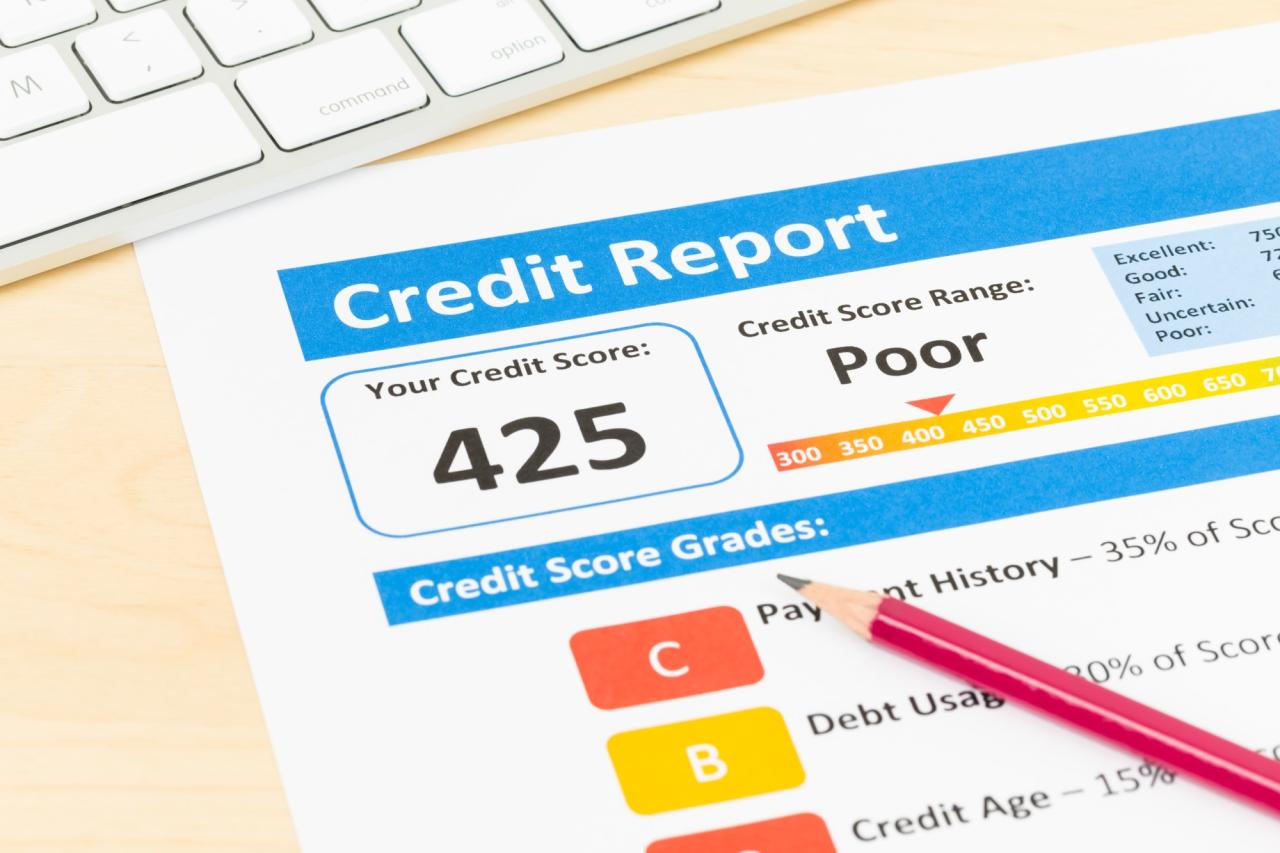 View my business credit report