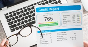 Pull business credit report