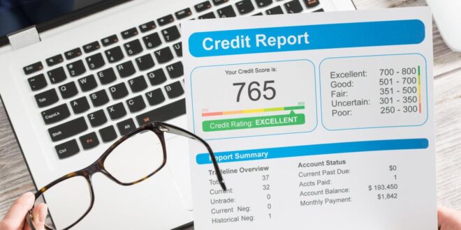 Pull business credit report