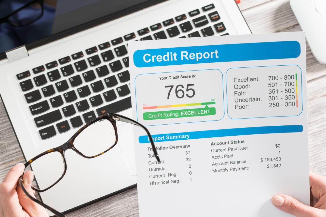 Pull business credit report