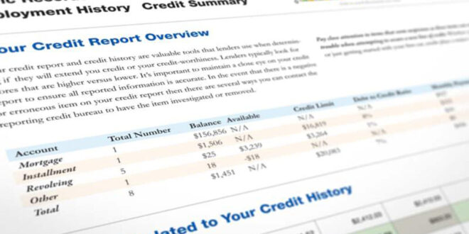 How to get a credit report for a business