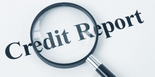 Vendors who report business credit