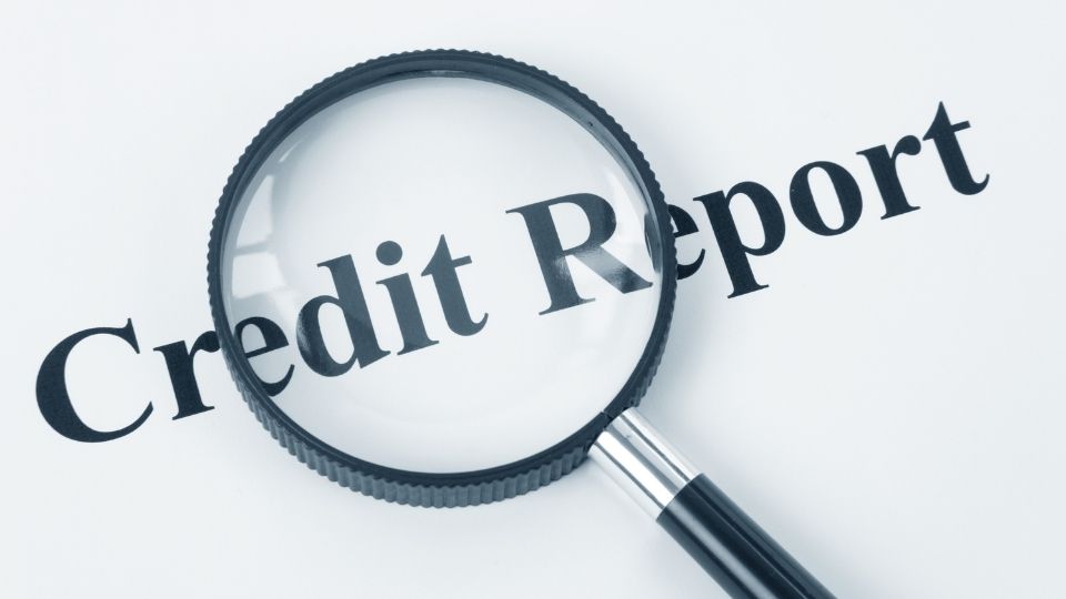 Vendors who report business credit