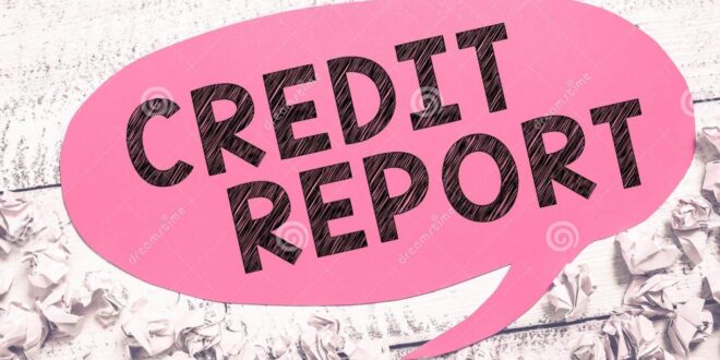 Online business credit report