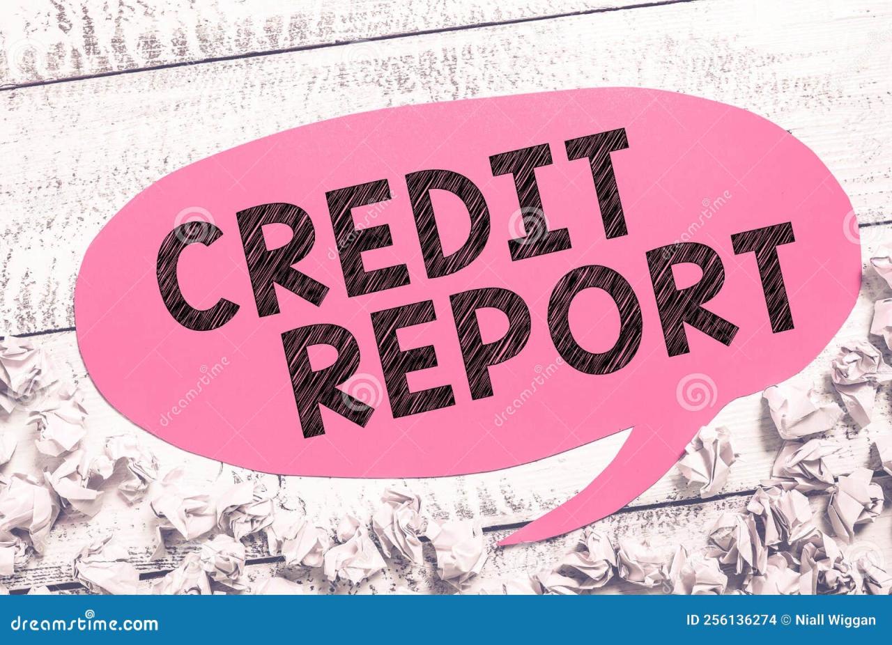 Online business credit report