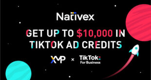 Tiktok business ad credit