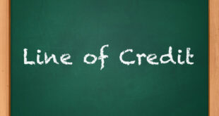 Llc business credit line