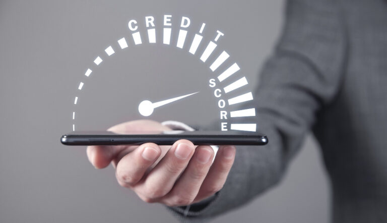 Credit check software for businesses