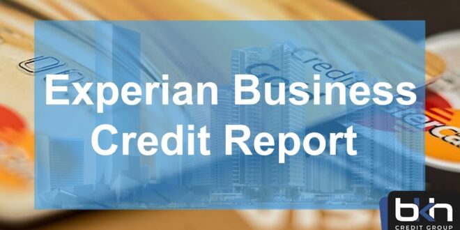 Vendors that report to experian business credit