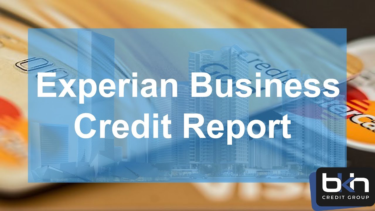 Vendors that report to experian business credit