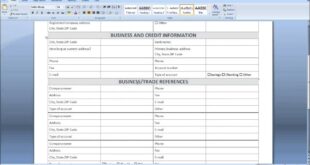 Online business credit application