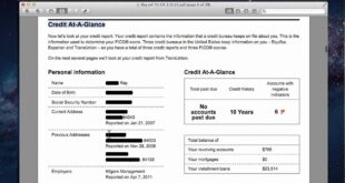 Transunion credit report for business