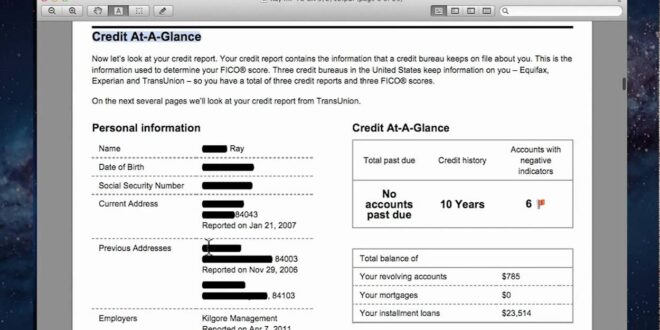 Transunion credit report for business