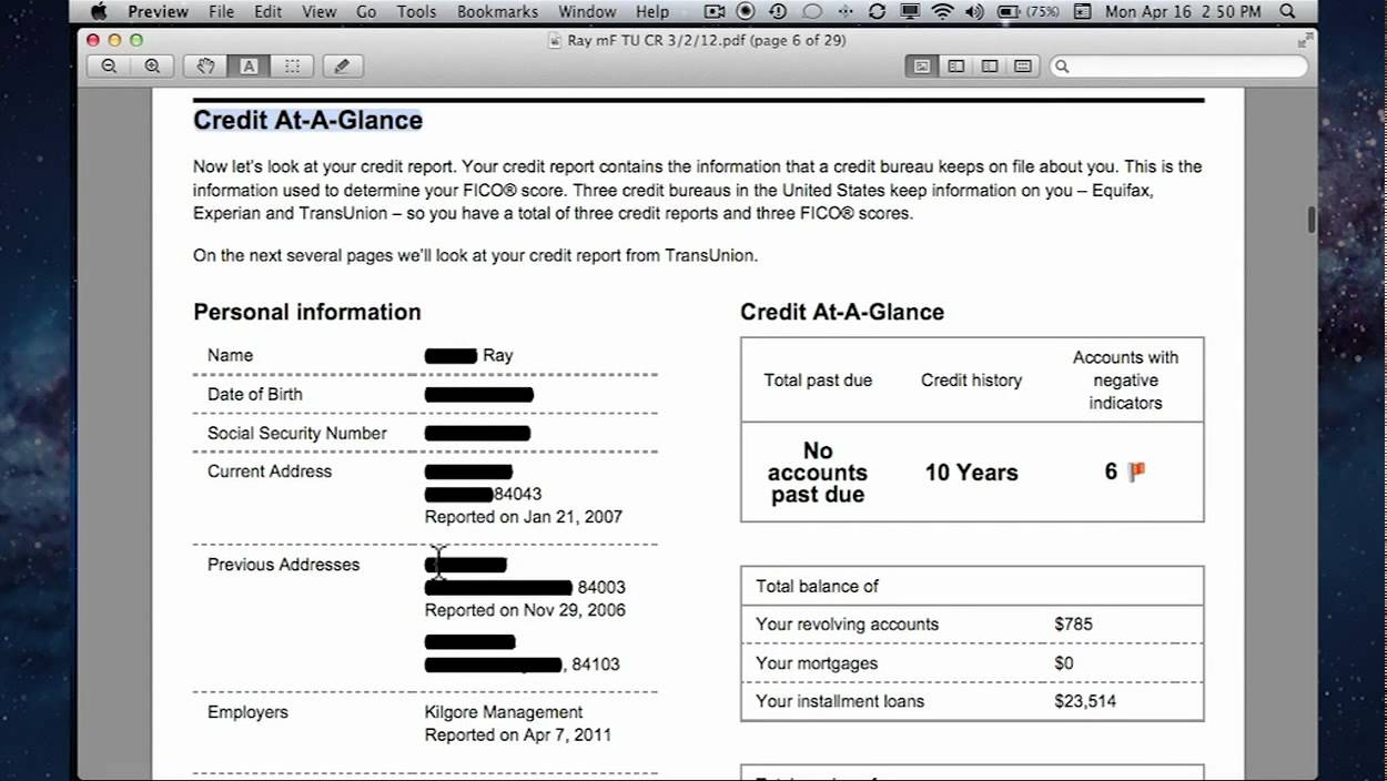 Transunion credit report for business