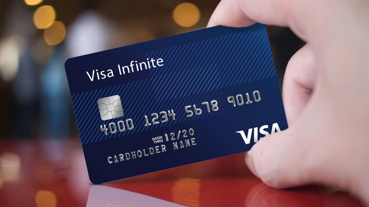 Visa business credit card application