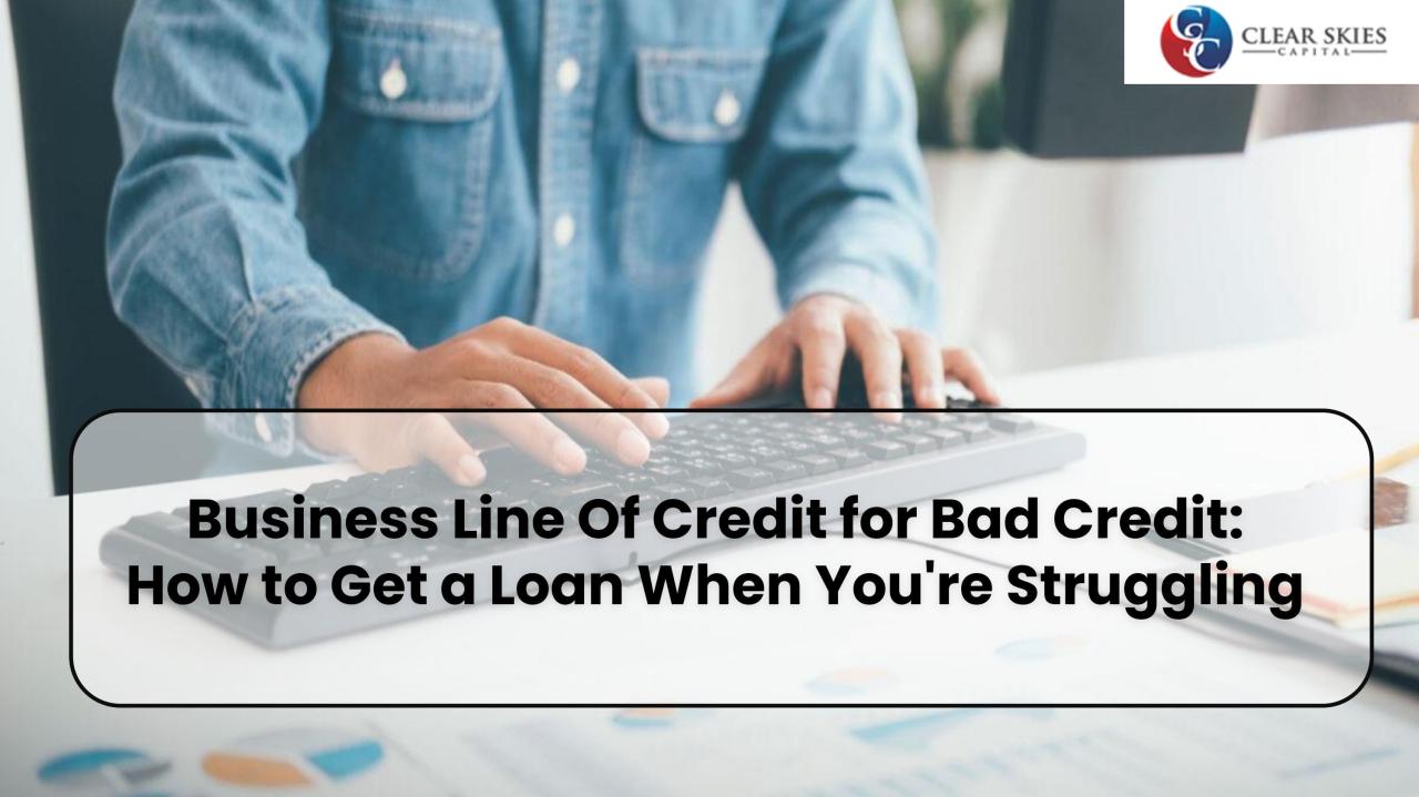 What can you use a business line of credit for