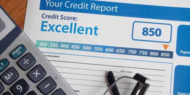 Purchase a business credit report